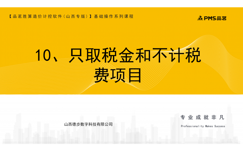 10、只取税金和不计税费项目