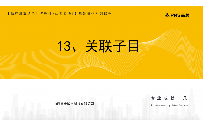 13、关联子目