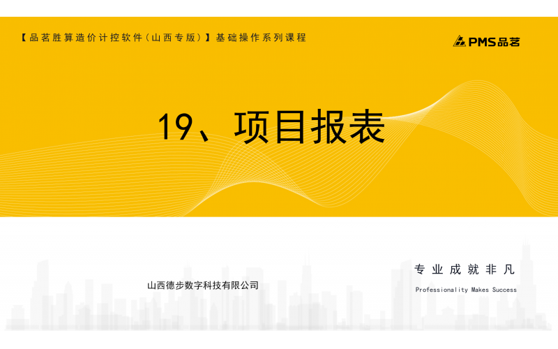 19、项目报表