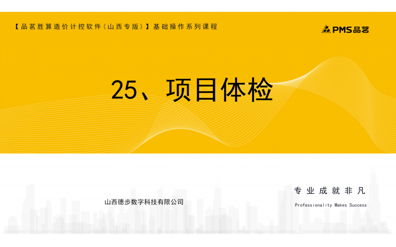 25、项目体检